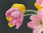 рис.3 картина тюльпаны - фрагмент  Кликните для перехода к этому слайду